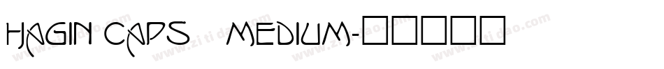 Hagin Caps Medium字体转换